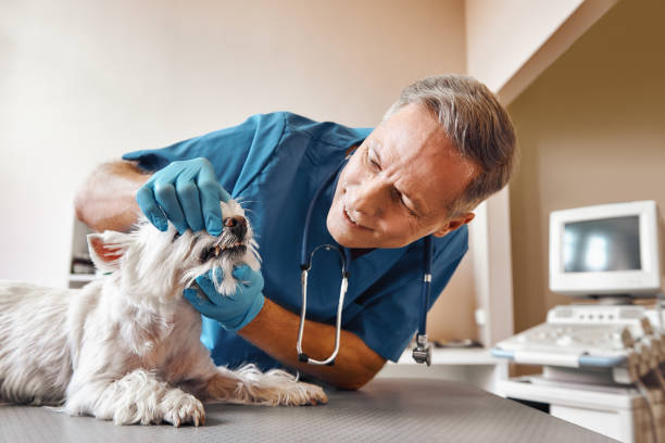 Best Emergency Dental Surgery in Fort Valley, GA